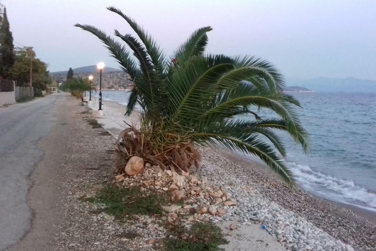 Family House Near The Beach Drepano-Nafplio Luaran gambar